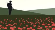 _72160552_97764402_getty_graphic_soldier_andfield_of_poppies